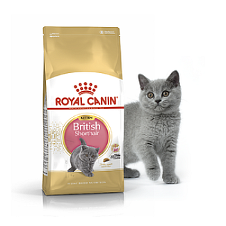 Royal Canin BRITISH SHOTHAIR KITTEN сухой корм для котят породы Британская короткошерстная, 10 кг