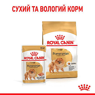 Royal Canin Pomeranian Loaf – Вологий корм з м'ясом для дорослих собак породи Померанський шпіц (паштет), 85 г