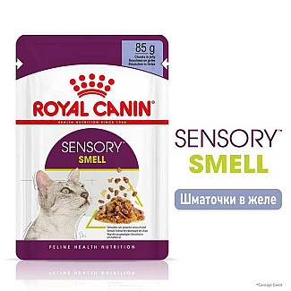 Royal Canin Sensory Smell in Jelly – Вологий корм з м'ясом та рибою для дорослих котів, що стимулює нюхові рецептори (шматочки в желе), 85 г