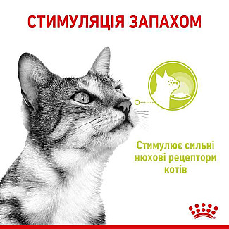 Royal Canin Sensory Smell in Jelly – Вологий корм з м'ясом та рибою для дорослих котів, що стимулює нюхові рецептори (шматочки в желе), 85 г