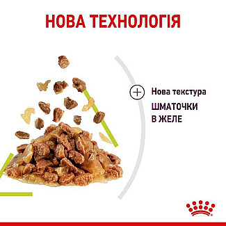Royal Canin Sensory Smell in Jelly – Вологий корм з м'ясом та рибою для дорослих котів, що стимулює нюхові рецептори (шматочки в желе), 85 г
