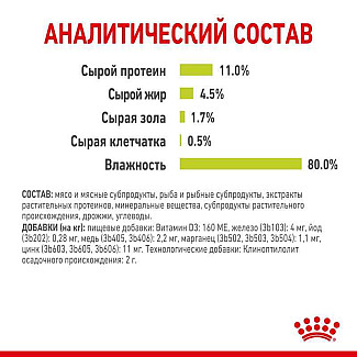 Royal Canin Sensory Smell in Jelly – Вологий корм з м'ясом та рибою для дорослих котів, що стимулює нюхові рецептори (шматочки в желе), 85 г