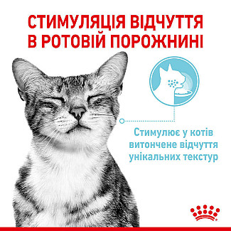 Royal Canin Sensory Feel in Gravy – Вологий корм з м'ясом та рибою для дорослих котів, що стимулює дотикові рецептори ротової порожнини (шматочки в соусі), 85 г