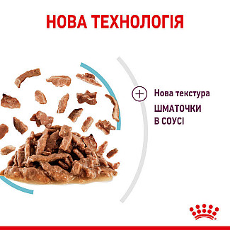 Royal Canin Sensory Feel in Gravy – Вологий корм з м'ясом та рибою для дорослих котів, що стимулює дотикові рецептори ротової порожнини (шматочки в соусі), 85 г