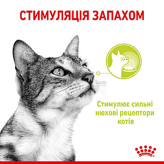 Royal Canin Sensory Smell in Gravy – Вологий корм з м'ясом та рибою для дорослих котів, що стимулює нюхові рецептори (шматочки в соусі), 85 г