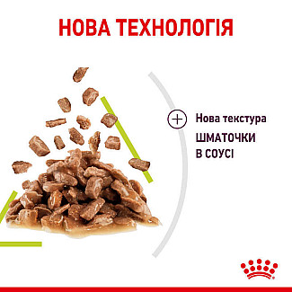 Royal Canin Sensory Smell in Gravy – Вологий корм з м'ясом та рибою для дорослих котів, що стимулює нюхові рецептори (шматочки в соусі), 85 г