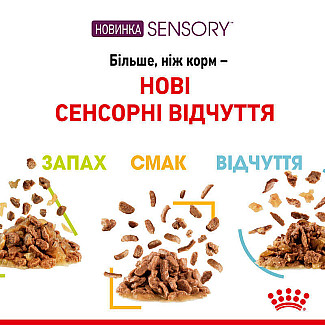 Royal Canin Sensory Smell in Gravy – Вологий корм з м'ясом та рибою для дорослих котів, що стимулює нюхові рецептори (шматочки в соусі), 85 г