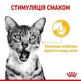 Royal Canin Sensory Taste in Gravy – Вологий корм з м'ясом для дорослих котів, що стимулює смакові рецептори (шматочки в соусі), 85 г