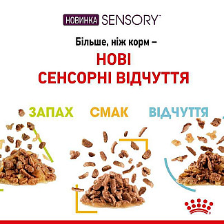 Royal Canin Sensory Taste in Gravy – Вологий корм з м'ясом для дорослих котів, що стимулює смакові рецептори (шматочки в соусі), 85 г