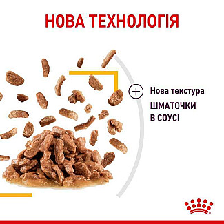 Royal Canin Sensory Taste in Gravy – Вологий корм з м'ясом для дорослих котів, що стимулює смакові рецептори (шматочки в соусі), 85 г