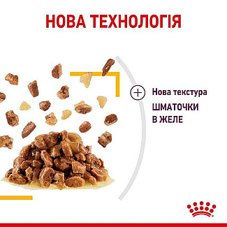 Royal Canin Sensory Taste in Jelly – Вологий корм з м'ясом для дорослих котів, що стимулює смакові рецептори (шматочки в желе), 85 г