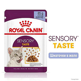 Royal Canin Sensory Feel in Jelly – Вологий корм з м'ясом для дорослих котів, що стимулює дотикові рецептори ротової порожнини (шматочки в желе), 85 г