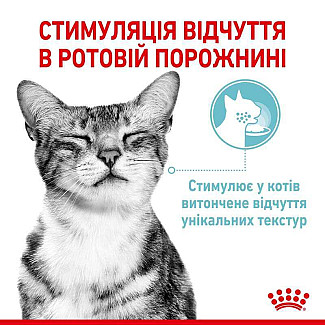 Royal Canin Sensory Feel in Jelly – Вологий корм з м'ясом для дорослих котів, що стимулює дотикові рецептори ротової порожнини (шматочки в желе), 85 г