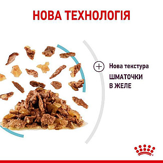 Royal Canin Sensory Feel in Jelly – Вологий корм з м'ясом для дорослих котів, що стимулює дотикові рецептори ротової порожнини (шматочки в желе), 85 г