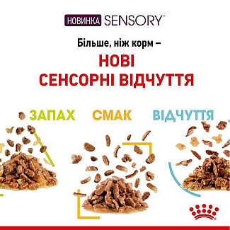 Royal Canin Sensory Feel in Jelly – Вологий корм з м'ясом для дорослих котів, що стимулює дотикові рецептори ротової порожнини (шматочки в желе), 85 г