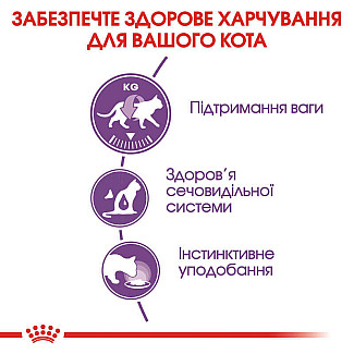 Royal Canin Sterilised in Jelly - Консервований корм для дорослих стерилізованих котів (дрібні шматочки в желе), 85 г