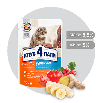 CLUB 4 PAWS PREMIUM Клуб 4 лапы влажный корм для взрослых кошек С ЛОСОСЕМ В ЖЕЛЕ