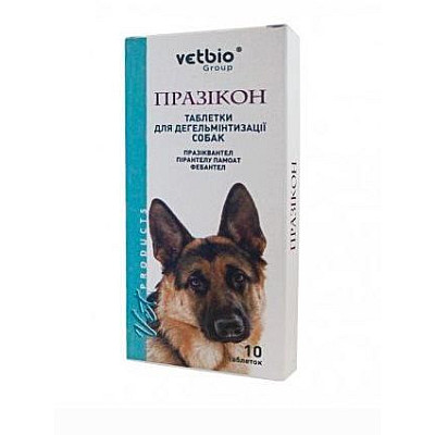 Празікон 