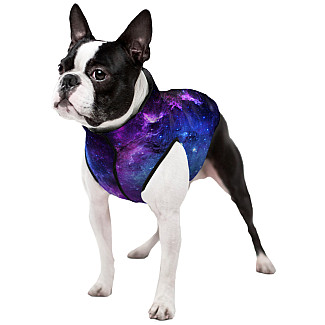 Курточка для собак WAUDOG Clothes малюнок "NASA21", XS30