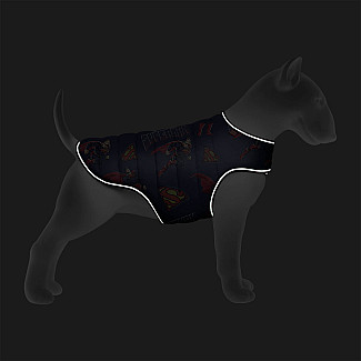 Курточка-накидка для собак WAUDOG Clothes, малюнок "Сила Супермена", XL