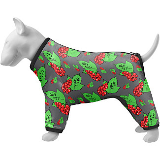 Вітровка для собак WAUDOG Clothes малюнок "Калина", S40