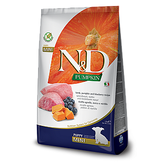 Беззерновий сухий корм для цуценят N&D GRAIN FREE PUMPKIN DOG LAMB & BLUEBERRY PUPPY MINI  дрібних порід (гарбуз / ягня / чорниця), 800 г