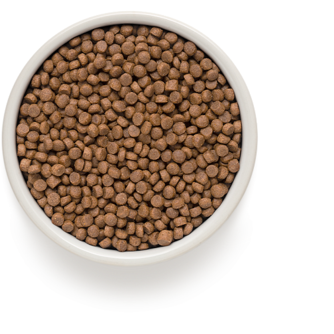 Сухой корм для стерилизованных кошек Grandorf Living Probiotics 4 MEAT STERILIZED 4 вида мяса, 400 г
