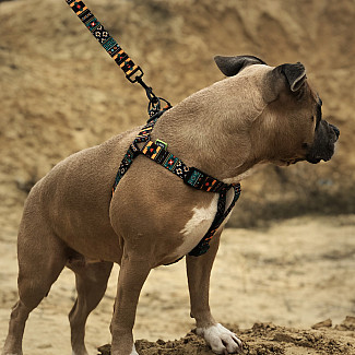 Шлея ТМ HIDOG "Boha green", 26-40 см
