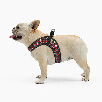 Шлея ТМ HIDOG COMFORT "Вишиванка", 33-39см, XS