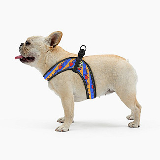 Шлея ТМ HIDOG COMFORT "Життя", 33-39см, XS