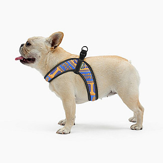 Шлея ТМ HIDOG COMFORT "Колосок",  28-34см, XXS