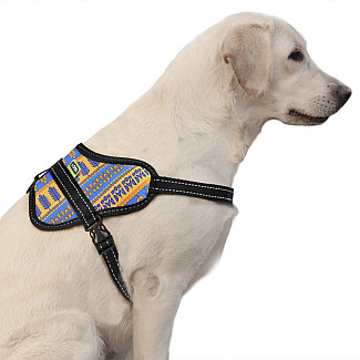 Шлея ТМ HIDOG"Метелик" "Життя",  70-100см, XL