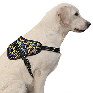 Шлея ТМ HIDOG  "Метелик" "Молодіжний", 60-75см, L