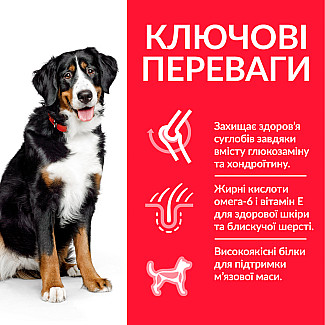 Hill’s Science Plan Adult Large Breed Сухий корм для дорослих собак великих порід, з куркою, 14 кг
