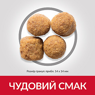 Hill’s Science Plan Adult Large Breed Сухий корм для дорослих собак великих порід, з куркою, 14 кг