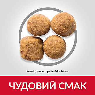 Hill’s Science Plan Adult Large Breed Сухий корм для дорослих собак великих порід, з ягням і рисом, 14 кг