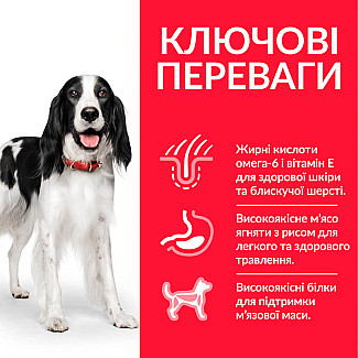 Hill’s Science Plan Adult Medium Breed Сухий корм для дорослих собак середніх порід, з ягням і рисом, 800 г