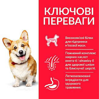 Hill’s Science Plan Adult Small&Mini Сухий корм для дорослих собак малих і мініатюрних порід, з куркою, 6 кг
