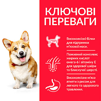 Hill’s Science Plan Adult Small&Mini Сухий корм для дорослих собак малих і мініатюрних порід, з ягням і рисом, 6 кг