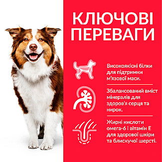 Hill’s Science Plan Mature Adult 7+ Medium Breed Сухий корм для зрілих собак середніх порід від 7 років, з куркою, 14 кг