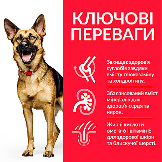 Hill’s Science Plan Mature Adult 6+ Large Breed Сухий корм для зрілих собак великих порід від 6 років, з куркою, 14 кг
