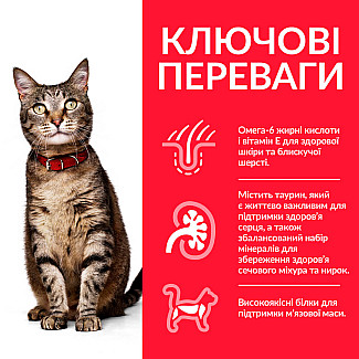 Hill's Science Plan Adult Сухий корм для дорослих котів, з ягням, 300 г