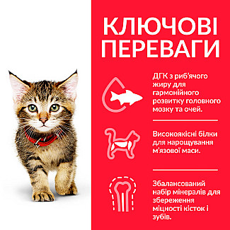 Hill's Science Plan Kitten Сухий корм для кошенят і кішок у період вагітності та лактації, з куркою, 7 кг