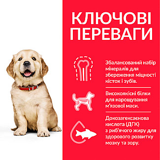 Hill’s Science Plan Puppy Large Breed Сухий корм для цуценят великих порід, з куркою, 14.5 кг