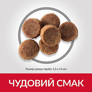 Hill’s Science Plan Puppy Large Breed Сухий корм для цуценят великих порід, з куркою, 14.5 кг