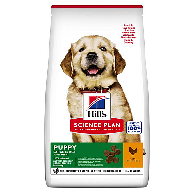 Сухий корм Hill’s Science Plan Puppy Large Breed для цуценят великих порід, з куркою