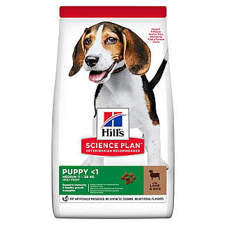 Hill’s Science Plan Puppy Medium Breed Сухий корм для цуценят середніх порід, з ягням і рисом, 14 кг