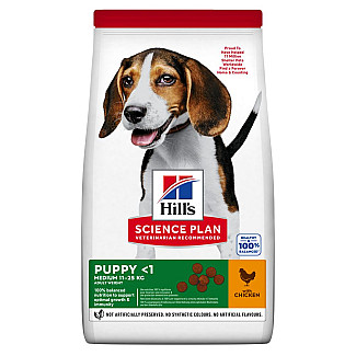 Hill’s Science Plan Puppy Medium Breed Сухий корм для цуценят середніх порід, з куркою, 2.5 кг