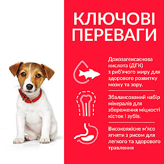 Hill’s Science Plan Puppy Smal&Mini Сухий корм для цуценят малих і мініатюрних порід, з куркою, 3 кг