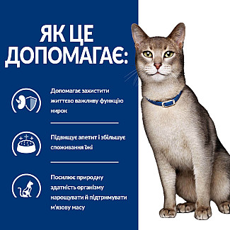 Hill’s Prescription Diet k/d Сухий корм для котів підтримання функції нирок, з тунцем, 400 г